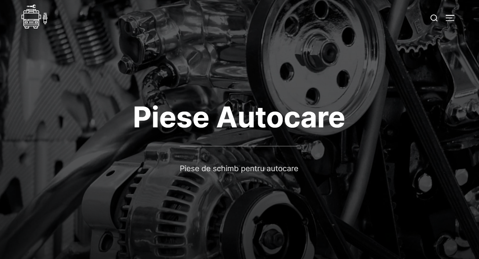 parteneri-piese-autocare